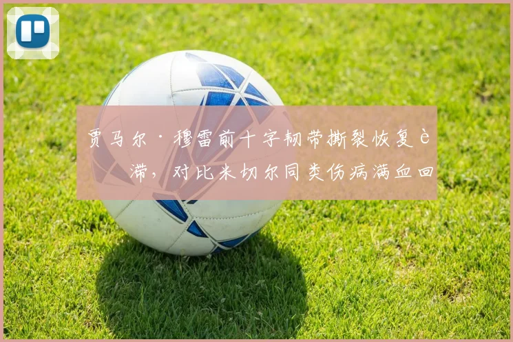 贾马尔·穆雷前十字韧带撕裂恢复迟滞，对比米切尔同类伤病满血回归的案例