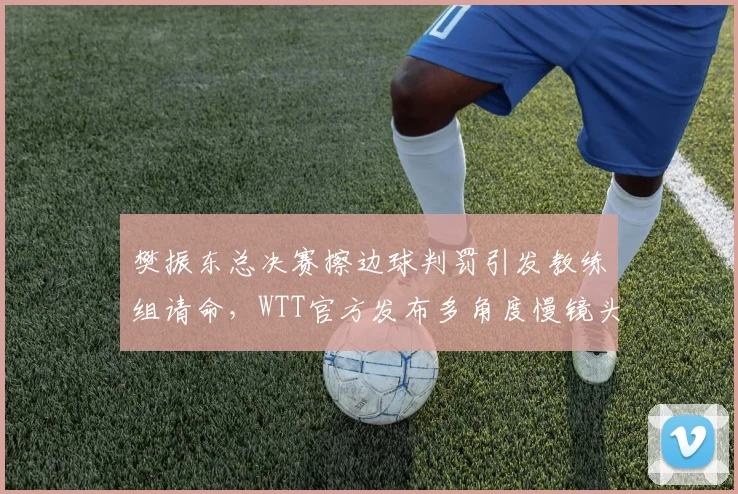 樊振东总决赛擦边球判罚引发教练组请命，WTT官方发布多角度慢镜头回放__br_