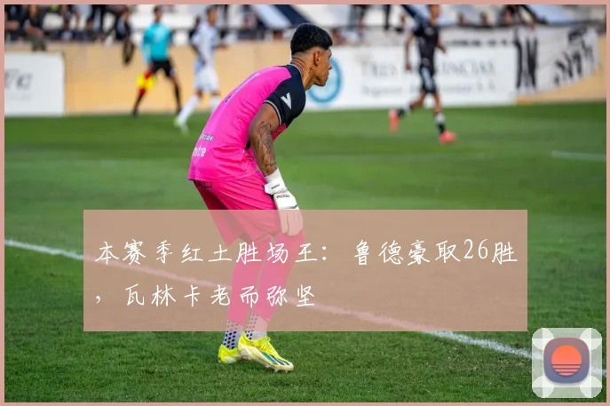 本赛季红土胜场王：鲁德豪取26胜，瓦林卡老而弥坚