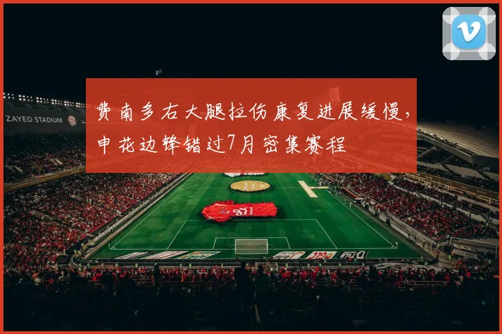 费南多右大腿拉伤康复进展缓慢，申花边锋错过7月密集赛程